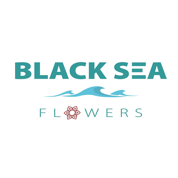 Black Sea Flowers