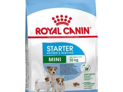 Royal canin Starter 1кг