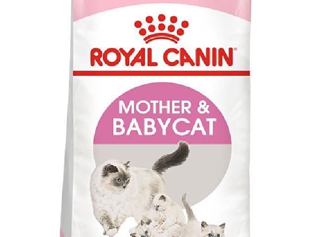 Royal canin mother&baby cat 2 kg