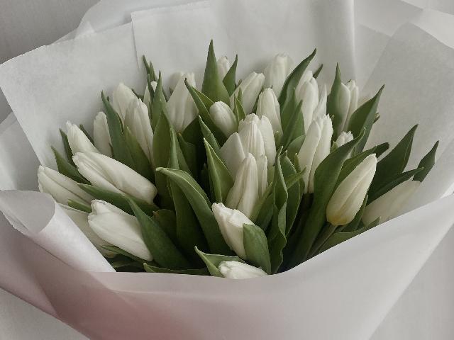 25 білих тюльпанів