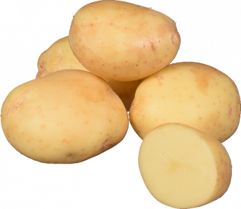 Картопля молода вага (Україна)