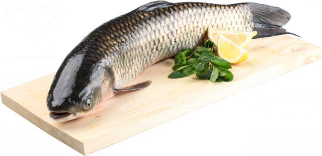 Риба Пеленгас свіжий (1 -) ваг.